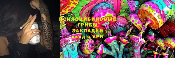 шишки Семилуки