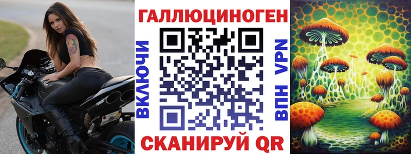 Галлюциногенные грибы Psilocybe  Волжск 